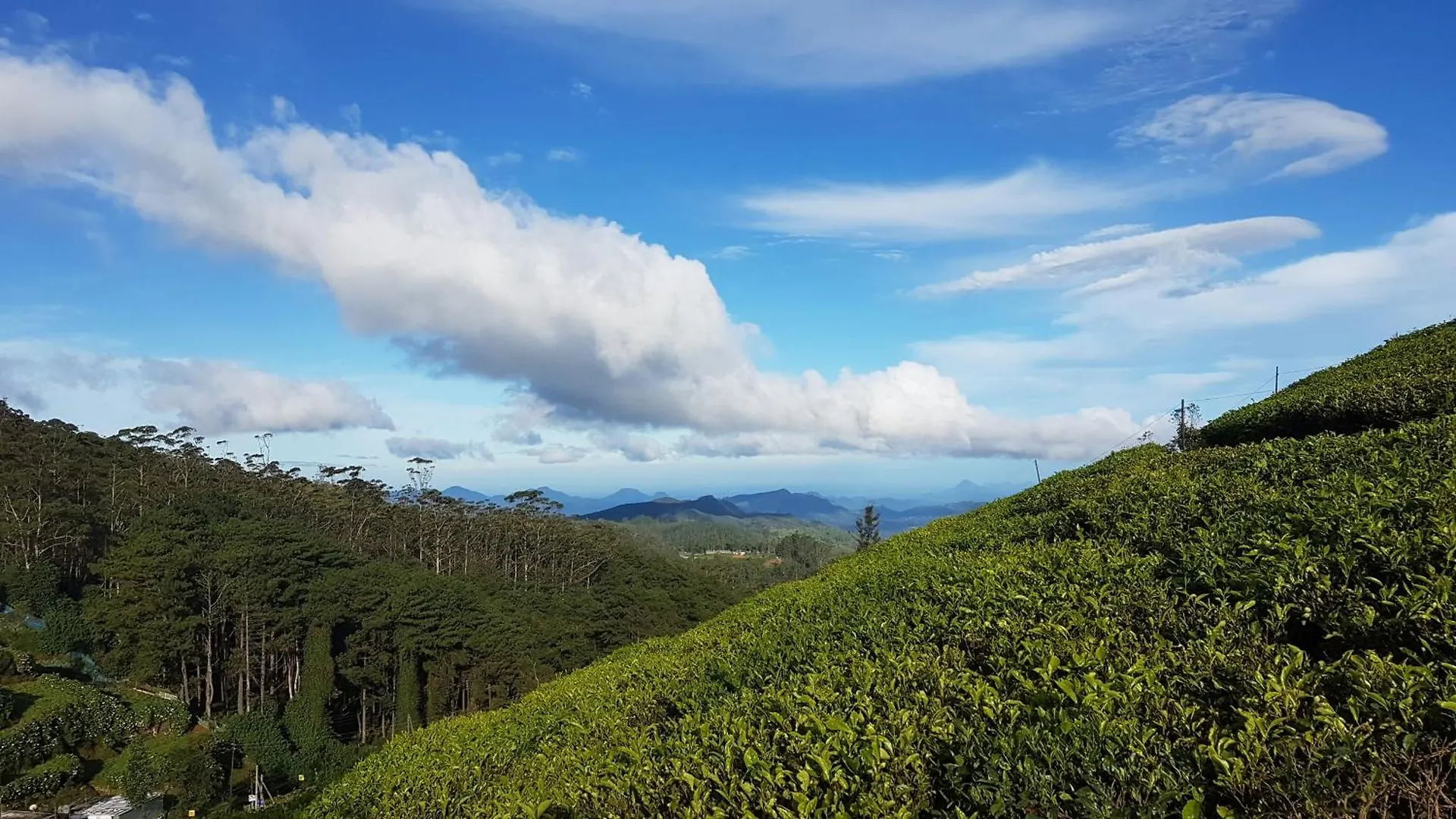Wintry Hills-Nuwara Eliya Apartment